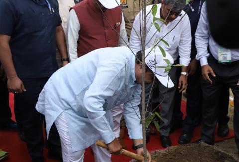 Plantation Drive at Jewar Intersection under 'Ek ped maa ke naam 2.0' Initiative