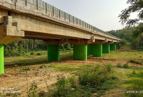 Elephant_Underpass_in_Assam_on_NH-7