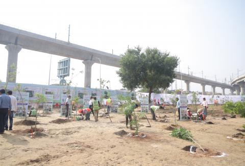 Launch of 'Swachhata Hi Seva' campaign with nationwide plantation drive