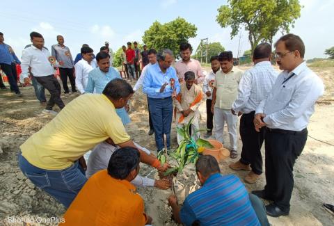 Plantation at Chakeri-Allahabad PIU- Kanpur