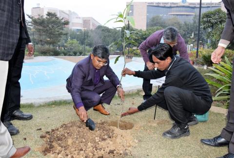 Swacchta Pakhwada Plantations (12-01-2023)