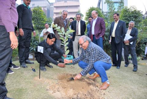 Swacchta Pakhwada Plantation