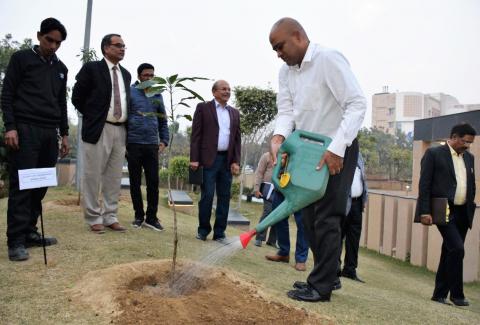 Swacchta Pakhwada Plantation